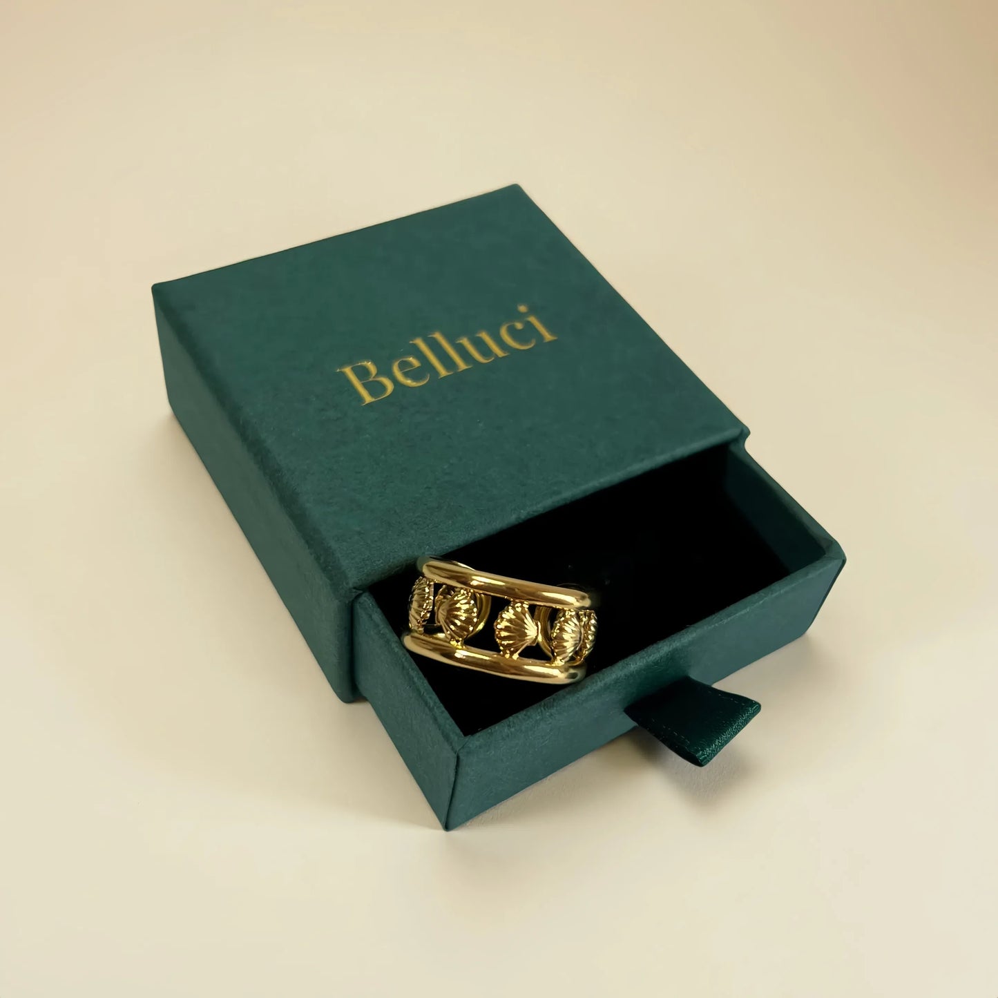 Anillo de conchas