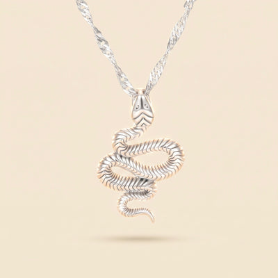 Collier serpent argenté en acier inoxydable 316L