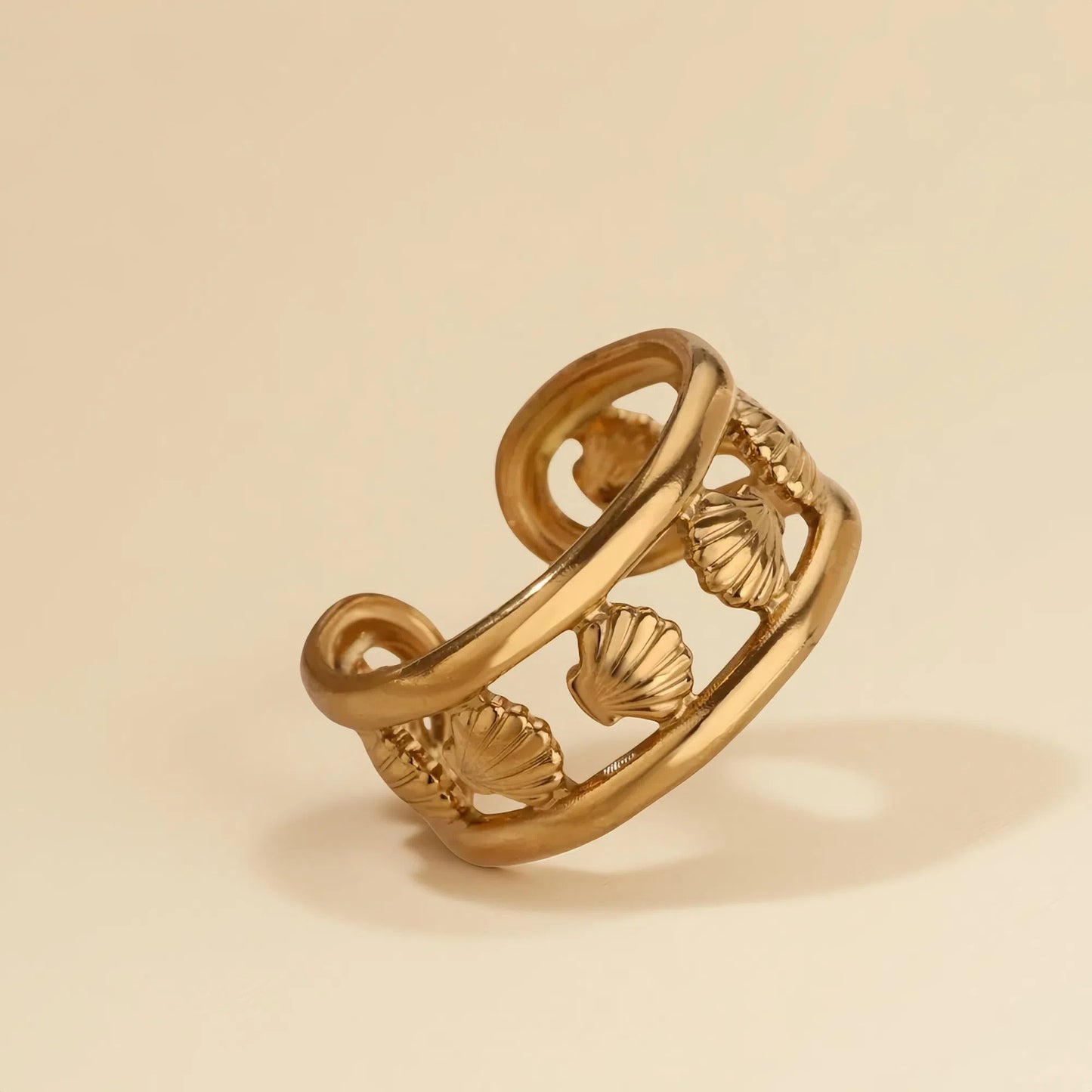 Anillo de conchas
